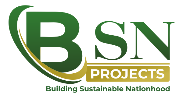 BSN Foundation